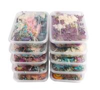 Fyearfly Flores secas para manualidades, kit de flores naturales preservadas para hacer tarjetas, álbumes de recortes, joyas de resina, caja de regalo de estilo aleatorio