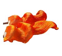 Fymlok Abanico Seda Danza del Vientre Silk Belly Dance Fan Veils Handmade Dyed Veil Seda Pure Bellly Danza Accesorios(2)