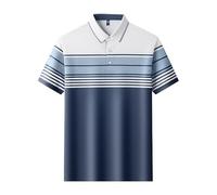FYMLP Mens Breathable Workout Polo Shirt Summer Business Casual Short Sleeve for Golf(Blue,L)