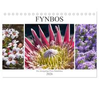 Fynbos - Die einzigartige Flora Südafrikas (Tischkalender 2026 DIN A5 quer), CALVENDO Monatskalender: Ein Einblick in die Pflanzenvielfalt des Kaps der guten Hoffnung