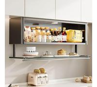 FYRDTNG Armario de Pared para Cocina con Puerta abatible,Vitrina de Pared de una Sola Puerta de Vidrio,para Bares,restaurantes,garajes, baños y pequeños Espacios de Dormitorio.(Black,60cm/23.6in)