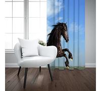 FYRHLH Cortinas Opacas Animales y Caballos Art Cortina Blackout Art Telas Termicas Aislantes Calor Ruido Luz Rayos para Salon Dormitorio Juego con Ojales Tamaño:An220 x Al215cm
