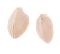 FytStycale 2 Piezas Pistachio Nuts Artículos para Trucos a Través de Vaso Props Natural Adecuados para Demostraciones de y Presentaciones
