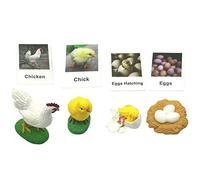 FytStycale Animal Life Cycle Classroom Teaching Aids Edades 5+ Ladybug, Animales de Granja, Tarjeta 11cm x 7cm