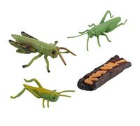 FytStycale Animal Life Cycle Classroom Teaching Aids Edades 5+ Ladybug, Estilo 1, como se Describe