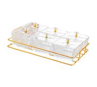 FytStycale Bandeja para Servir Dividida con Tapa, Caja de Almacenamiento, Plato para Refrigerios, Bandeja Multiusos para Dulces Y Secos Hecha de Material, Transparente, Individual