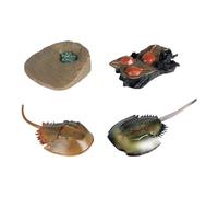 FytStycale Figuras Set Educativo Animales Juguete Resistente Herramienta Enseñanza Uso Escolar Adecuado para rol Docente y Actividades