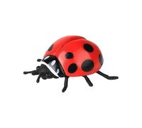FytStycale Modelo de Artrópodos de Simulación Educativo Figura Artrópodo Realista Materiales Seguros para Decoración, Coccinela Roja M