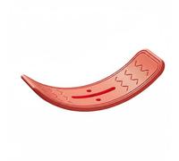 Fzaqwen Tabla de Equilibrio Infantil Tabla Curva Tabla Balancín Tabla Oscilante con Diseño Seguro Antideslizante Suelos en HDPE Adecuada para Sala de Juegos Lectura Ejercicios en Casa, Red
