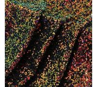 FZBANG Tela de Malla con Lentejuelas de 3 mm para decoración de Bodas, Fondos para sesiones de Fotos, Vestidos de Escenario, Ropa, Material para Costura DIY.