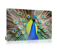 FZFN Accessories Haves Plaques | Pavo real con plumas vibrantes que muestra un colorido arte decorativo de pared listo para colgar en la granja (30 x 40 cm)