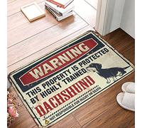 FZFN Alfombra de baño de granja con advertencia de que esta propiedad está protegida por un perro salchicha altamente entrenado, tapete para exteriores para puerta delantera, tapete grande (65 x 90 cm