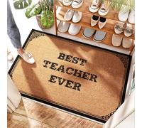 FZFN Alfombra de goma para entrada de cocina, tejida con el mejor profesor de la historia, para puerta delantera, lavable al aire libre, puerta a cuadros y cubierta al aire libre (50 x 80 cm)