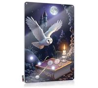 FZFN Búho se eleva sobre un libro mágico bajo el cielo iluminado por la luna, divertida decoración de pared | Cosas de cueva de hombre, estilo vintage, decoración de escalera fácil de colgar (20 x 30