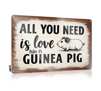 FZFN Letrero de estaño para decoración de pared vintage con texto en inglés "Love And A Guinea Pig: A Cozy Corner Nostalgic Nice For Saloon Home Decoration" (20 x 30 cm)