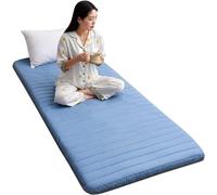 Colchón Individual para El Suelo con Bolsa De Almacenamiento Al Vacío Reutilizable - Tatami Japonés Colchoneta Futón De Algodón Enrollable Cama De Invitados Plegable (80x190CM,Azul)