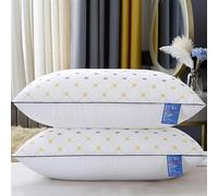 FZKun Núcleo De Almohada De Calidad De Hotel - Almohada De 850g De Plumas Suave De Apoyo Adecuada para Durmientes De Espalda De Lado Y De Estómago Algodón Amigable con La Piel (2pz,#2)