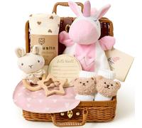 G.C Cesta Regalo Bebe Recien Nacido Niña con Doudou Bebe Sonajero Babero Manta Tarjetas Calcetines Antideslizantes Baby Shower Regalo Ideal para Recién Nacidos