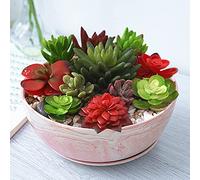 G EPGardening Maceta Grande de 25,5 cm con patrón de mármol, Maceta de cerámica para suculentas, Maceta Grande para suculentas, Maceta para decoración Interior y Exterior, Color Rosa