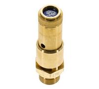 G Válvula de seguridad preajustada de latón de 1/2'' 4,3 bar (62,37 psi) DN 10