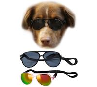 G010 - Gafas de sol de aviador para perro y mascota, razas medianas, 20-40 libras (paquete de 2 unidades, negro + oro rosa, señor)