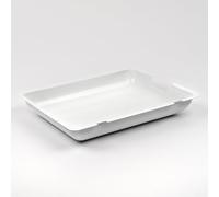 G3 Ferrari R10024VA Bandeja de Repuesto Original para G10024 Barbacoa Giulietta