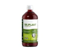 G7 Siliplant Silicio Líquido Bebible 1L Suplemento Natural de Cola de Caballo para Articulaciones Piel Uñas Pelo y Huesos Alta Absorción