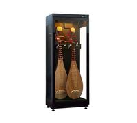 Gabinete deshumidificador para instrumentos musicales, puede contener 2 pipa (laúdes chinos), humidifica, marco de acero laminado en frío resistente, con cerradura,B