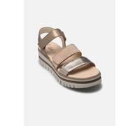 Gabor 64.620 38 1/2 Oro y bronce