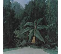 GABOR SZABO - Magical Connection