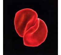 Gabriel Peter - Scratch My Back