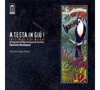 Gabriele Mirabassi - A Testa In Giù
