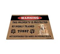GABSHAIM Chesapeake Bay Retriever - Felpudo de bienvenida divertido con diseño de perro en acuarela, personalizado, esta propiedad está protegida por un tapete altamente entrenado, 23.6 x 15.7