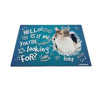 GABSHAIM Felpudo personalizado con diseño de gato Hello is It Me You're Looking for Calicos Bone Paws, tapete antideslizante para puerta delantera, entrada, tapete decorativo de 15.7 x 23.6 pulgadas