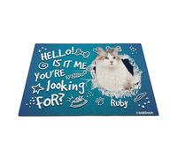GABSHAIM Felpudo personalizado con diseño de gato Hello is It Me You're Looking for Ragdoll Bone Paws antideslizante, tapete decorativo para puerta delantera, entrada, 23.6 x 35.4 pulgadas