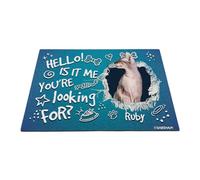 GABSHAIM Felpudo personalizado con diseño de gato Hello is It Me You're Looking for Sphynx Bone Paws, tapete antideslizante para puerta delantera, entrada, alfombra decorativa de 23.6 x 35.4 pulgadas