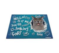 GABSHAIM Felpudo personalizado con diseño de patas de hueso de gato Hello is It Me You're Looking for Cat Bone Paws, tapete decorativo para puerta delantera, entrada, 23.6 x 35.4 pulgadas, estilo 3