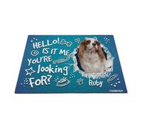 GABSHAIM Felpudo personalizado con diseño de perro Hello is It Me You're Looking for Cavalier King Charles Spaniel con patas de hueso, alfombra decorativa para puerta delantera, entrada, 17.7 x 27.5