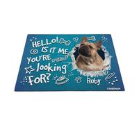 GABSHAIM Felpudo personalizado con diseño de perro Hello is It Me You're Looking for French Bulldog Bone Paws - Tapete decorativo para puerta delantera, entrada, 40 x 60 cm, estilo 3
