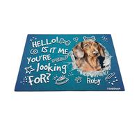 GABSHAIM Felpudo personalizado para perro, diseño de patas de hueso salchicha, Hello is It Me You're Looking for para puerta delantera, entrada, alfombra decorativa de 17.7 x 27.5 pulgadas, estilo 2
