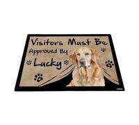 GABSHAIM Visitors Must Be Approved by The Dog Felpudo divertido acuarela Chesapeake Bay Retriever tapete personalizado para decoración del hogar de 15.7 x 23.6 pulgadas