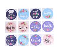 Gadpiparty 12piezas Pegatinas De Logros Mensuales para Bebés Tarjetas De Desarrollo Decorativas para Recién Nacidos Pegatinas para Marcar Los Avances del Primer Año