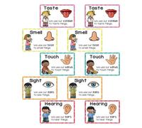 Gadpiparty 2 Juegos Tarjetas Cognitivas y Sensoriales para Carteles de Aprendizaje Temprano con Imágenes Contraste para Desarrollo Visual y Cognitivo