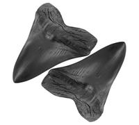 Gadpiparty 2 Piezas Réplicas de Dientes de Megalodón Resina Decorativa Modelo Prehistórico Realista para Enseñanza Colección y Decoración Educativa