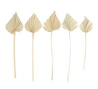 Gadpiparty 5 piezas de decoración de hojas de palma secas para bodas, fiestas y decoración del hogar, material sintético verde claro con sentido artístico elegante, para decorar tu espacio o poner en