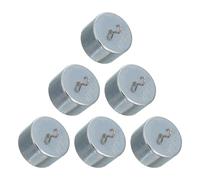 Gadpiparty 6 Piezas Pesa de Calibración de 100g con Gancho para | Hierro Color Plata, Ajuste Preciso y Diseño Robusto, para Física, Ciencia y Educación