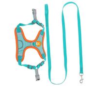 Gadpiparty Arnés para Perro Pequeño Resistente al con Chaleco Cómodo y Correa Larga Reflectante para Control Seguro de Mascotas