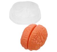 Gadpiparty Herramienta Para Enseñar Anatomía Cerebral Herramienta Para El Aula De Ciencias Modelo De Estudio Cerebral Modelo De Cerebro Biológico