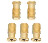 Gadpiparty Juego de 5 Anclajes de Latón Dorado para Piscina Rosca Profunda y Forma Cónica, Accesorios para Recambios de Piscinas Desmontables y Seguridad
