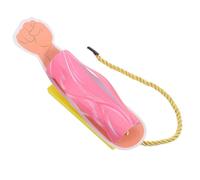 Gadpiparty Modelo Muscular Anatómico Realista de Músculo del Cuerpo Humano en Papel para Estudio de Fisiología Médica y Enseñanza en Escuelas de Medicina